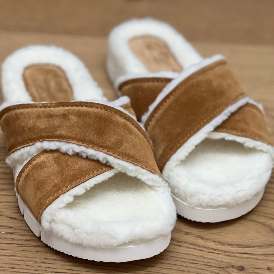 OBI COSY